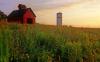 Peck Farm Granary and Silo, Kane County, Illinois